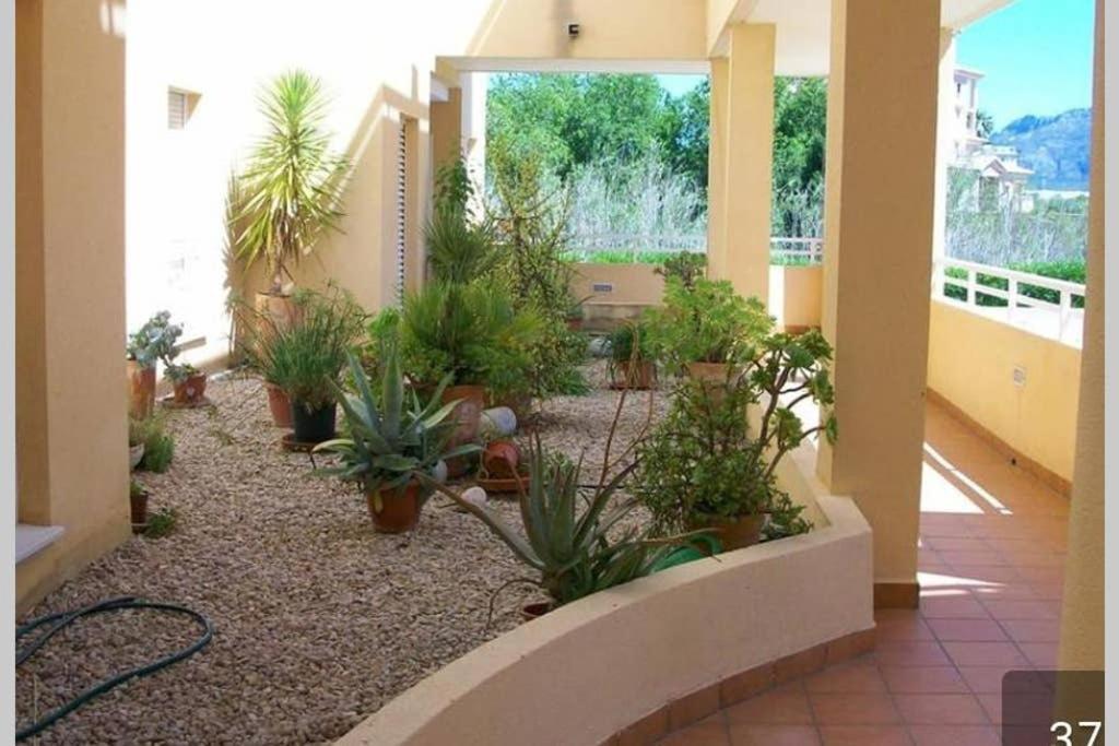Met&Golf Oliva Nova Beach Exterior foto